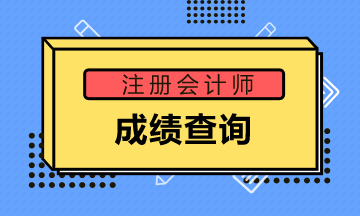 江蘇徐州2019年注會(huì)成績(jī)查詢(xún)