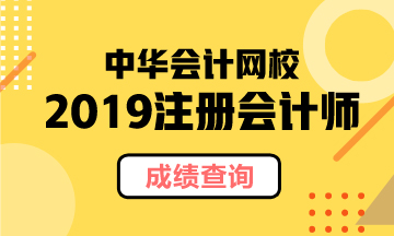 北京2019年CPA官網(wǎng)成績(jī)查詢時(shí)間