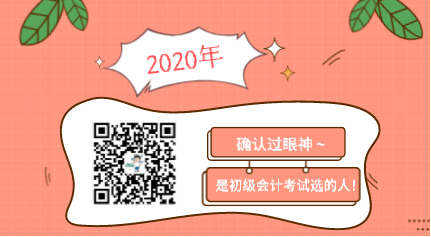 確認(rèn)過(guò)眼神 是2020年初級(jí)會(huì)計(jì)考試選的人！