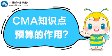 CMA知識(shí)點(diǎn)：預(yù)算的作用