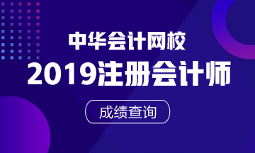 山東2019年注冊(cè)會(huì)計(jì)師官網(wǎng)成績(jī)查詢?nèi)肟谑悄膫€(gè)？