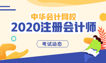 山東cpa2020年專(zhuān)業(yè)階段考試時(shí)間