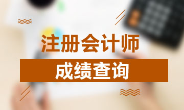 寧夏2019年CPA官網(wǎng)成績查詢時(shí)間公布了嗎？