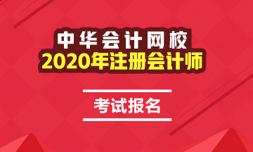 ?？颇軋?bào)名2020年注會考試嗎？