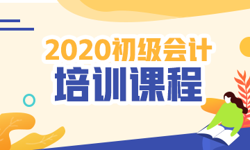 遼寧沈陽2020會(huì)計(jì)初級(jí)網(wǎng)上培訓(xùn)班