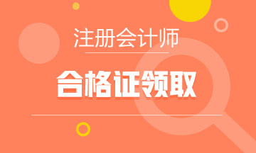 徐州2019年注會專業(yè)階段合格證