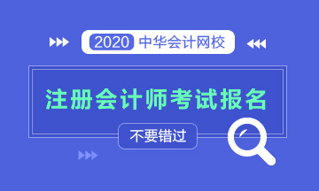 2020年注冊(cè)會(huì)計(jì)師考試報(bào)名