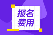 2020年各省注冊(cè)會(huì)計(jì)師考試報(bào)名費(fèi)用匯總表一覽！