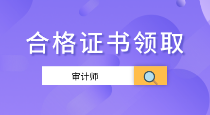 2019年審計師合格證書辦理信息匯總