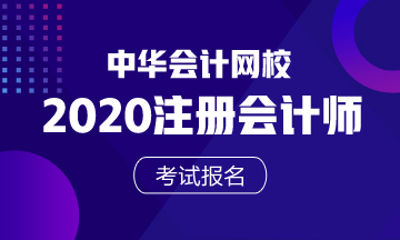 2020注冊(cè)會(huì)計(jì)師考試