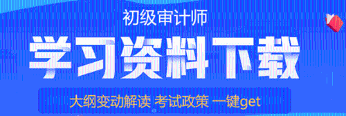 初級審計師學(xué)習(xí)資料