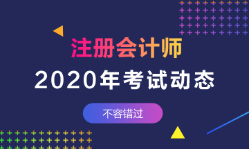 山東地區(qū)2020年注冊會計師什么時候考試？