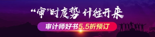 2020年審計師考試輔導(dǎo)書