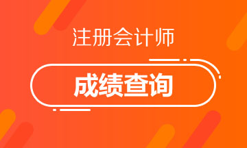 2020年成都CPA成績查詢時(shí)間