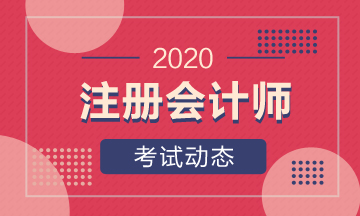 廣東cpa2020年考試時間