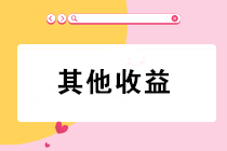 “其他收益”會(huì)計(jì)科目只核算政府補(bǔ)助？錯(cuò)！錯(cuò)！錯(cuò)！