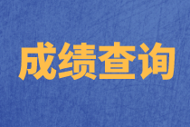 安徽2020年資產(chǎn)評(píng)估師成績(jī)查詢流程公布了嗎？