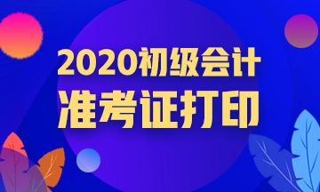 2020初級(jí)會(huì)計(jì)準(zhǔn)考證