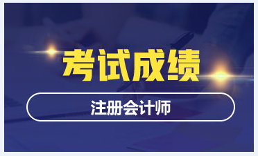 2020年寧夏注會(huì)成績什么時(shí)候出來