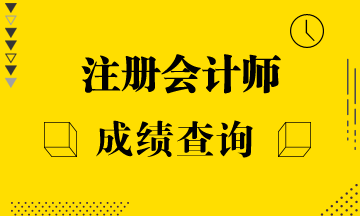 2020年濰坊注會(huì)考試成績(jī)查詢時(shí)間