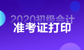 青海省2020會計初級準(zhǔn)考證打印在哪里?