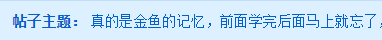 中級會計備考記不住？高分學員教你克服“金魚的記憶”