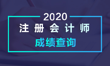 一文了解山西2020注冊會(huì)計(jì)師成績查詢相關(guān)信息