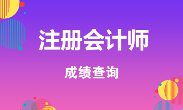 2020山東注會考試成績查詢入口