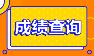 上海2020CPA考試成績查詢相關(guān)信息一覽