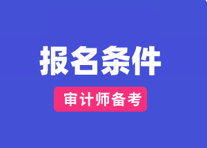 山東2020國(guó)際審計(jì)師報(bào)考條件及時(shí)間？