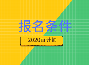 2020年國際內(nèi)部審計師報考條件都有什么要求？