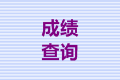 山東淄博2020年中級會計(jì)師考試成績查詢