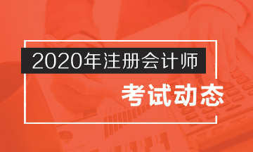 四川省2020年注冊(cè)會(huì)計(jì)師考試時(shí)間是什么時(shí)候呢？