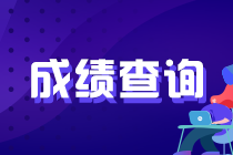 黑龍江哈爾濱基金從業(yè)資格考試成績(jī)查詢?nèi)肟谝验_(kāi)通