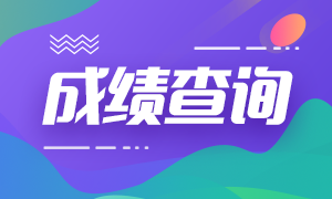 什么時(shí)候公布廣東2020年中級會(huì)計(jì)師成績查詢時(shí)間？