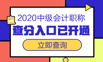 浙江舟山市2020年中級(jí)會(huì)計(jì)職稱成績(jī)查詢?nèi)肟谝验_(kāi)通！