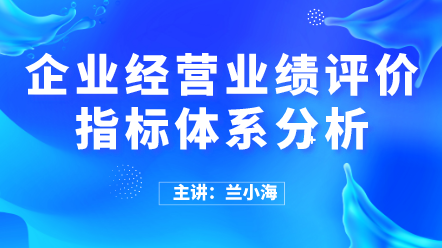 企業(yè)經(jīng)營業(yè)績(jī)?cè)u(píng)價(jià)指標(biāo)體系分析 (1)