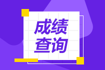 稅務(wù)師成績查詢時間