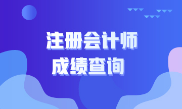  2020山東煙臺注會考試成績查詢時間