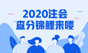 2020年注會成績查詢錦鯉報道！總有一款適合你~