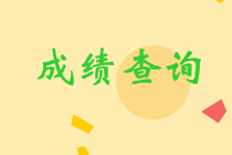 四川眉山中級成績查詢2020入口在哪里？