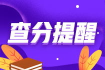 ACCA成績查詢時間在什么時候？