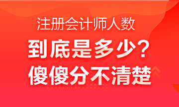 中國注冊會計師行業(yè)全國從業(yè)人員超40萬人？不是二十多萬嗎？