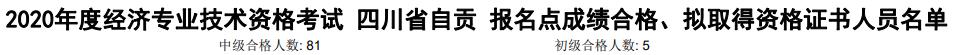 自貢2020年初中級經(jīng)濟(jì)師考試合格人數(shù)