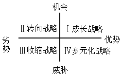 2021高會《高級會計實務(wù)》考試知識點：SWOT模型