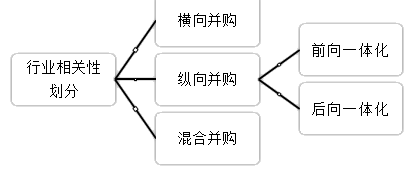 2021高會(huì)《高級(jí)會(huì)計(jì)實(shí)務(wù)》考試知識(shí)點(diǎn)：企業(yè)并購(gòu)類型（二）