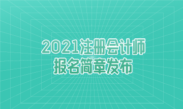 重大消息：2021年注冊會計師報名簡章發(fā)布