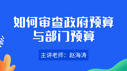 如何審查政府預算與部門預算