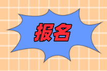 報(bào)名5