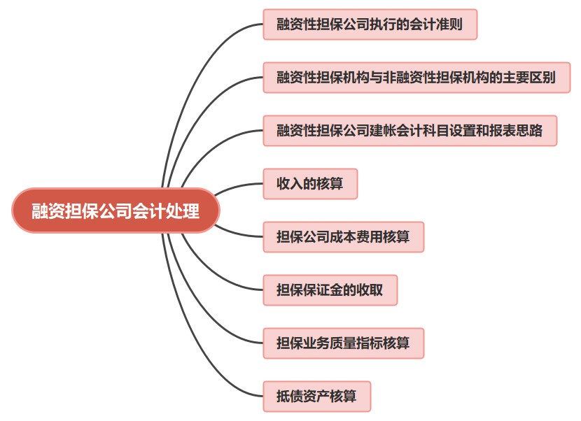 金融公司財(cái)務(wù)人員必看！融資擔(dān)保公司會(huì)計(jì)處理